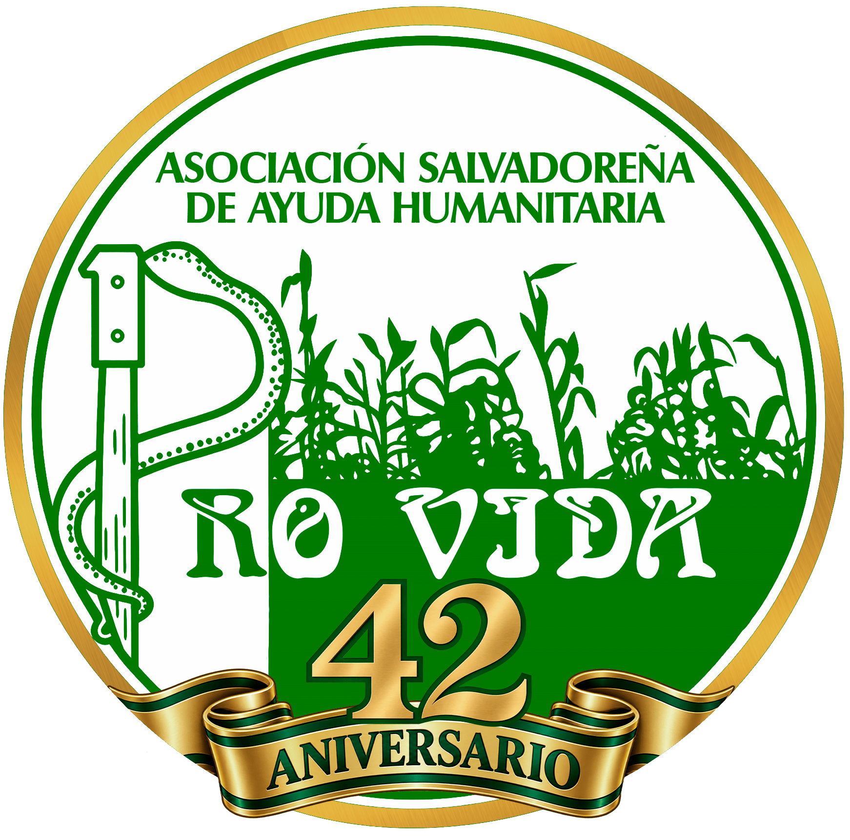 42 anniversario pv